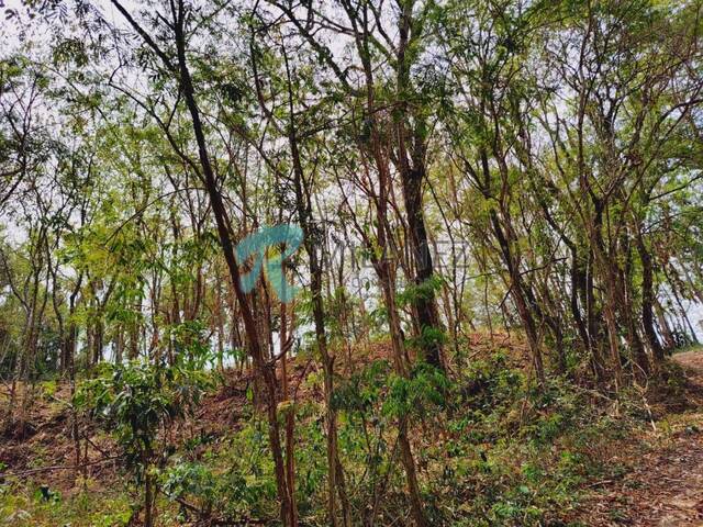 #TRC0563 - Chácara para Venda em Itatiba - SP - 3