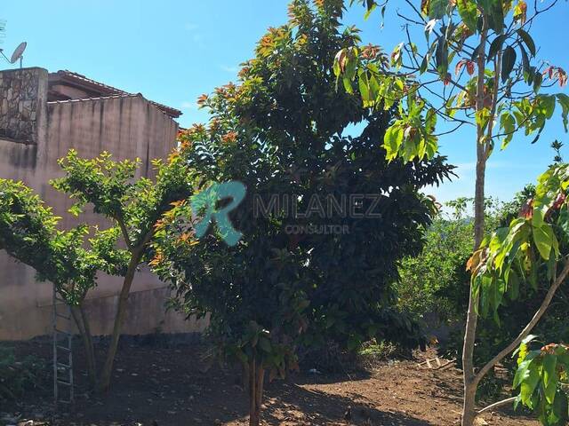 #TC0063 - Terreno para Venda em Itatiba - SP - 3